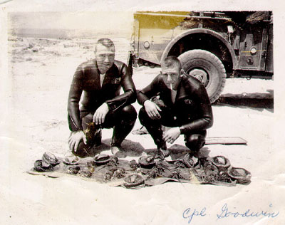 Goodwin and Wilson